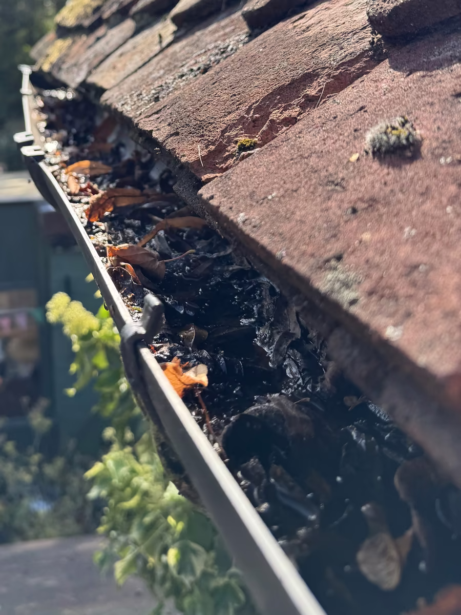 Blocked gutter full of leaves along a clay tile roof, the kind of job Just Jets clears across Essex